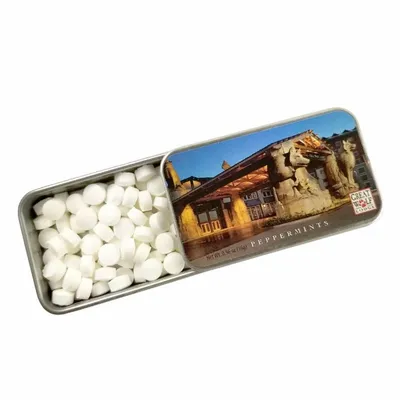 Silver Slyder Tin - Webcam Covers Now