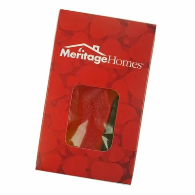 Small Window Box - Assorted Fish - Webcam Covers Now