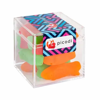 Sweet Boxes with Assorted Fish - Webcam Covers Now
