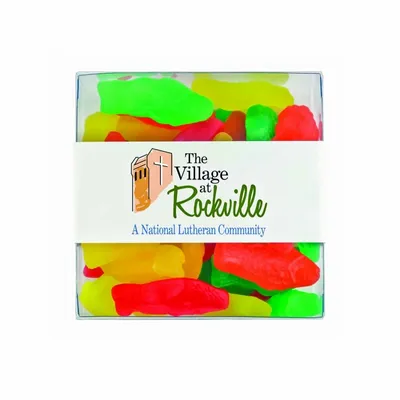 Square Acetates - Assorted Fish - Webcam Covers Now