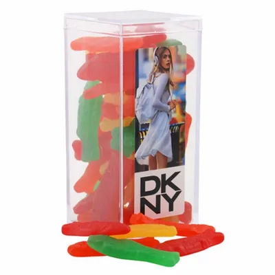 Acrylic Box with Swedish Fish - Medium - Webcam Covers Now
