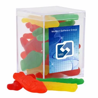 Acrylic Box with Swedish Fish - Small - Webcam Covers Now