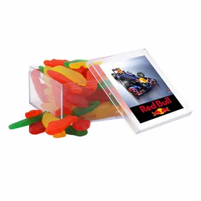 Acrylic Box with Swedish Fish - Large - Webcam Covers Now