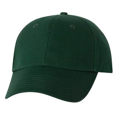 Forest Forest - Webcam Covers Now