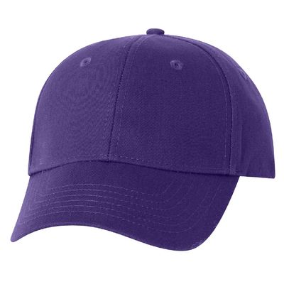 Purple Purple - Webcam Covers Now