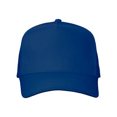 Royal Royal - Webcam Covers Now