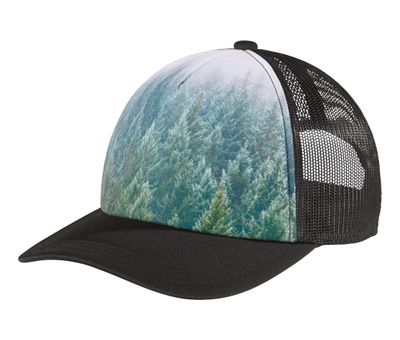 Forest Forest - Webcam Covers Now