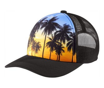 Palm Trees Palm Trees - Webcam Covers Now