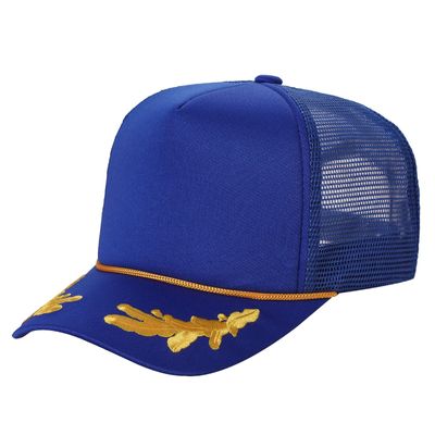 Royal/Gold Royal/Gold - Webcam Covers Now