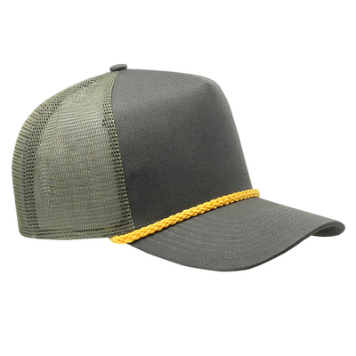 Loden_Gold Loden_Gold - Webcam Covers Now