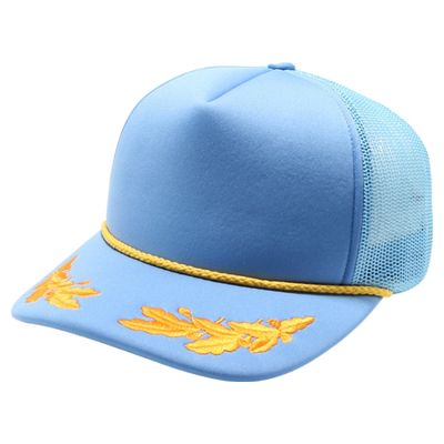 Sky Blue Sky Blue - Webcam Covers Now