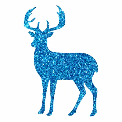Glitter PVC Patches - Webcam Covers Now