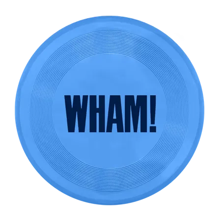 PVC Flying Disc 9.25 inch - Webcam Covers Now