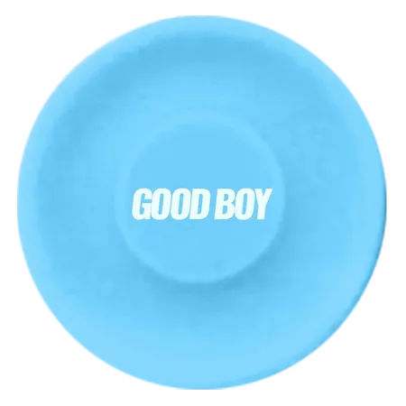 Silica Gel Flying Disc 2.6 inch - Webcam Covers Now