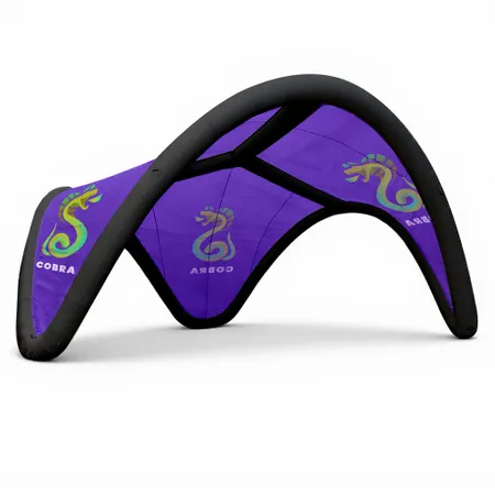 16 ft. x 16 ft. Inflatable Trident Tents 16 ft. x 16 ft. Inflatable Trident Tents - Webcam Covers Now