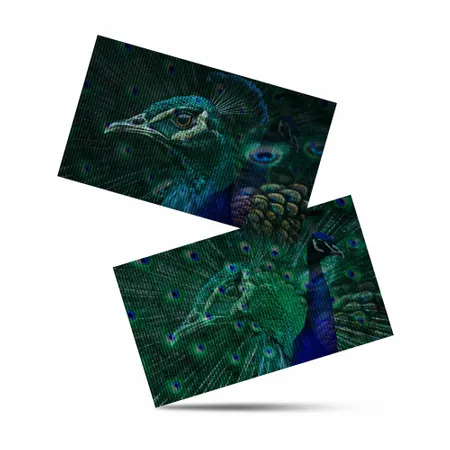 Lenticular Card - Webcam Covers Now