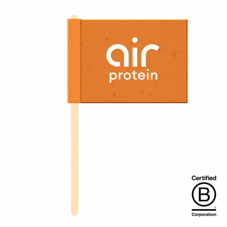 Seed Paper Flags - Webcam Covers Now