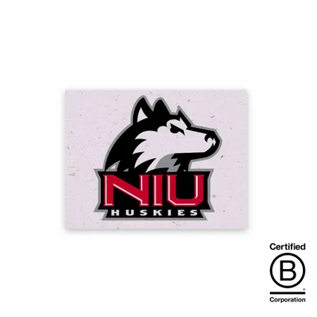 Seed Paper Panel Cards - Webcam Covers Now