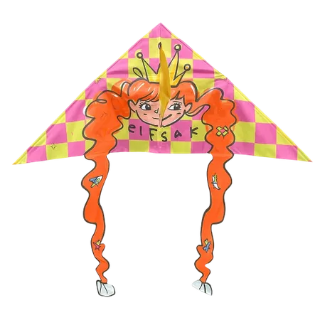 Creative Shape Kites - Webcam Covers Now