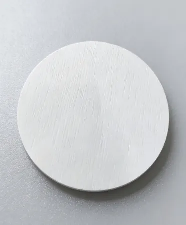 Hard Diatom Mud Coaster - Webcam Covers Now