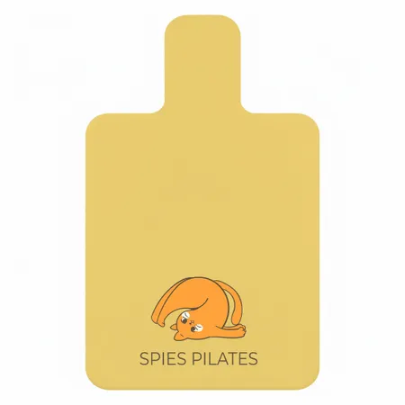 Pilates Yoga Mats - Webcam Covers Now