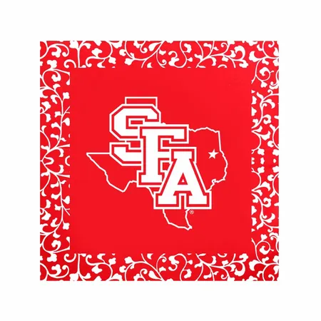 Full Color Paisley Bandanas - Webcam Covers Now