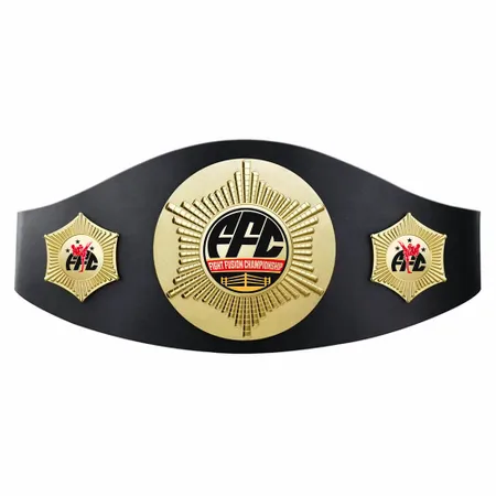 Custom Perpetual Champion Belts - Webcam Covers Now