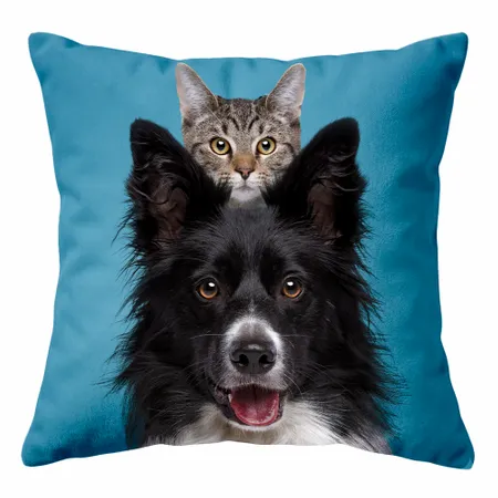 Square Pillows - Webcam Covers Now