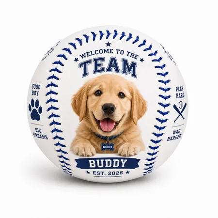 Promotional Baseballs - Webcam Covers Now