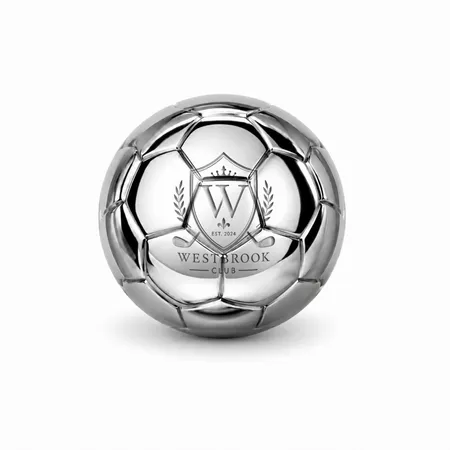 Soccer Ball Stainless Steel Ice Cubes - Webcam Covers Now