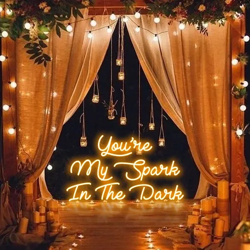 You Are My Spark in The Dark Neon Sign - Webcam Covers Now