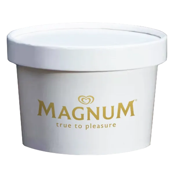 Ice Cream Container - Webcam Covers Now