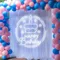 Happy Birthday Cake in Circle Neon Sign - Webcam Covers Now