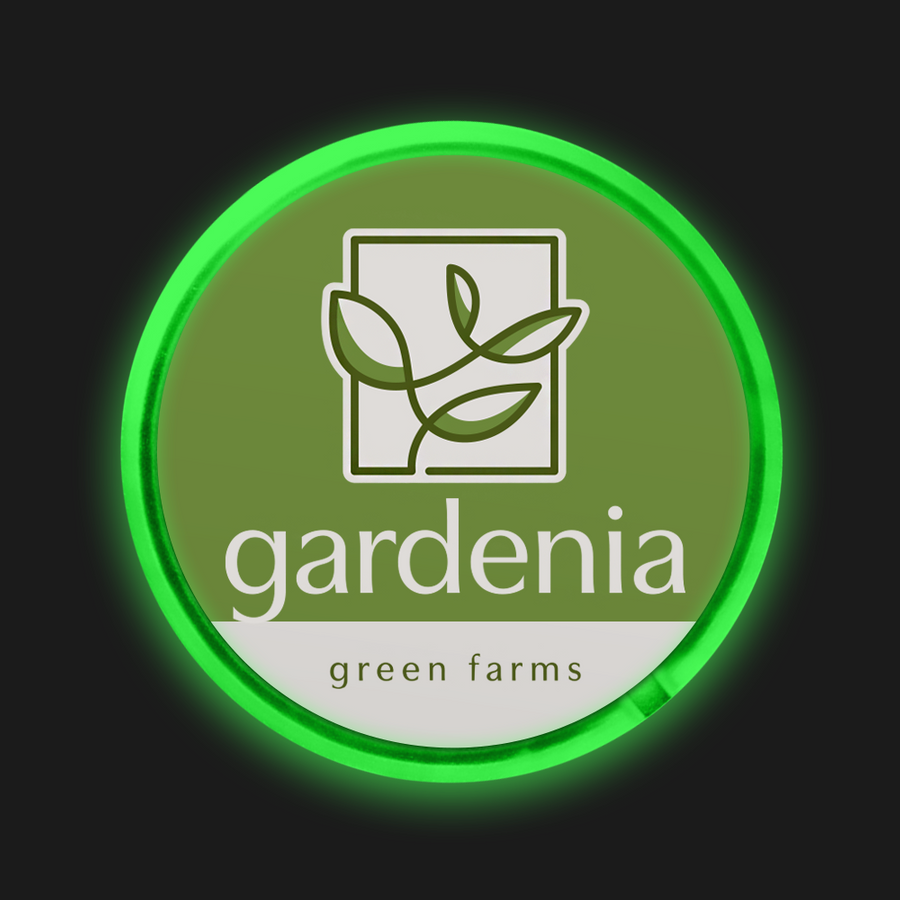 Light Button Pins - Webcam Covers Now