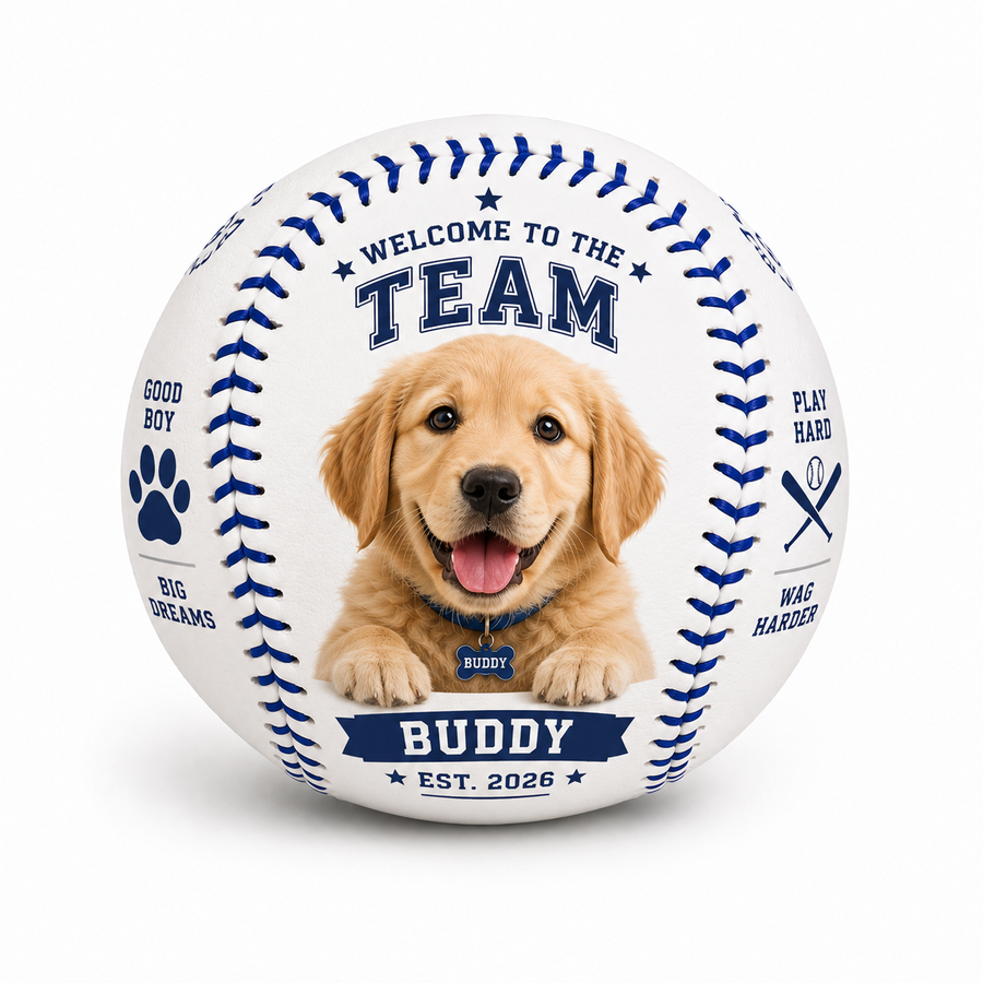 Promotional Baseballs - Webcam Covers Now