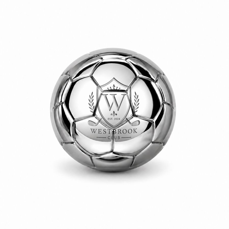 Soccer Ball Stainless Steel Ice Cubes - Webcam Covers Now