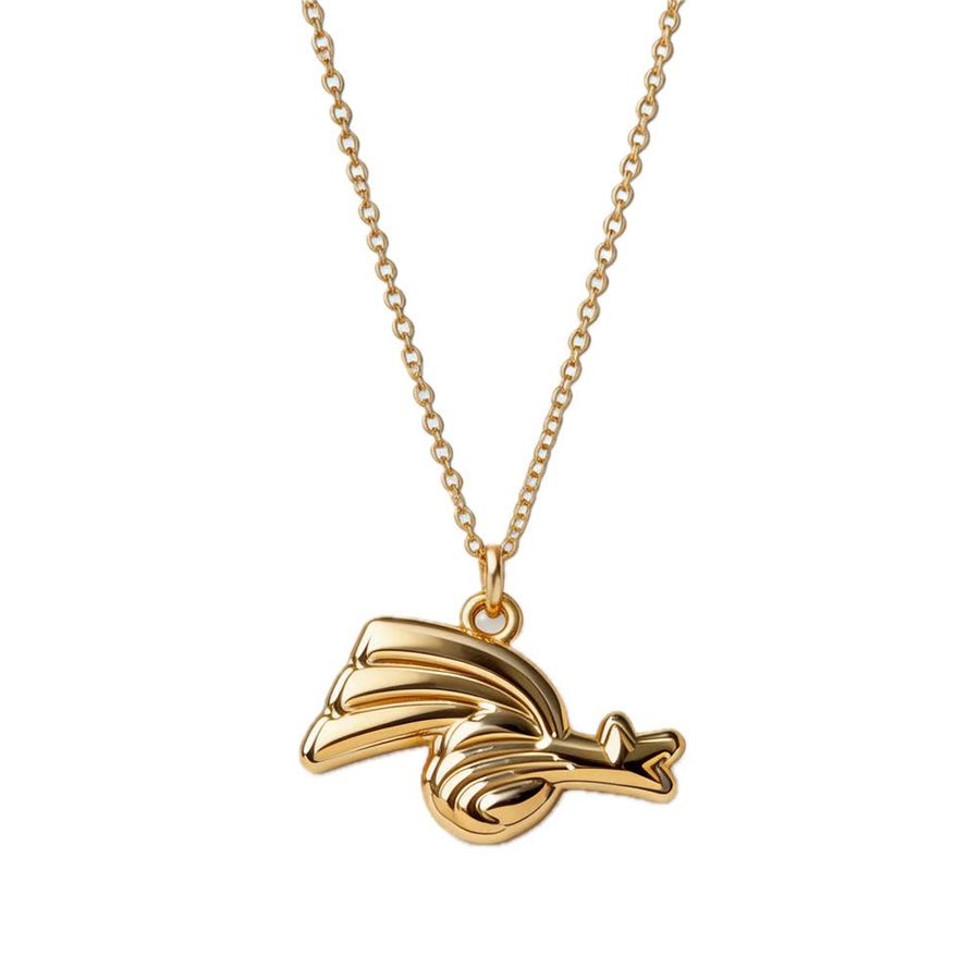 3D Charm Necklaces - Webcam Covers Now