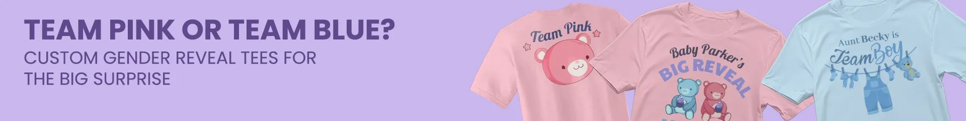 WebcamCoversNow.com banners